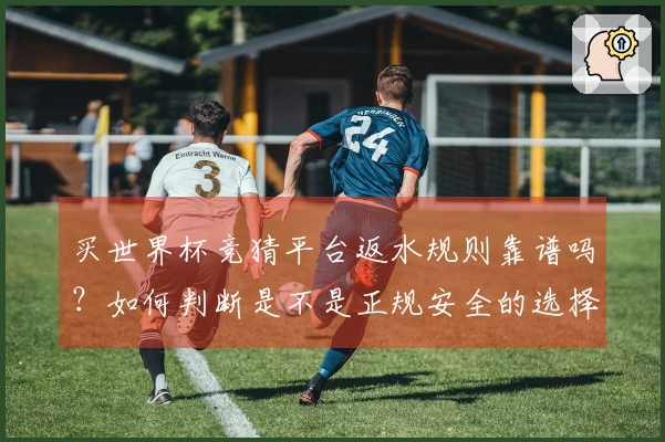买世界杯竞猜平台返水规则靠谱吗？如何判断是不是正规安全的选择
