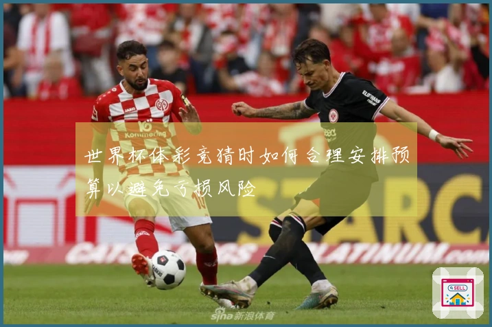世界杯体彩竞猜时如何合理安排预算以避免亏损风险