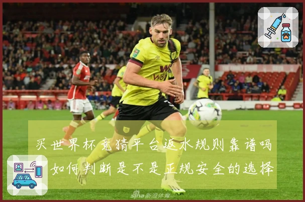 买世界杯竞猜平台返水规则靠谱吗？如何判断是不是正规安全的选择