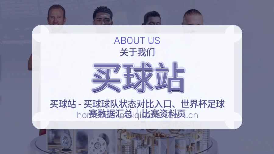 买球站关于品牌服务介绍图片